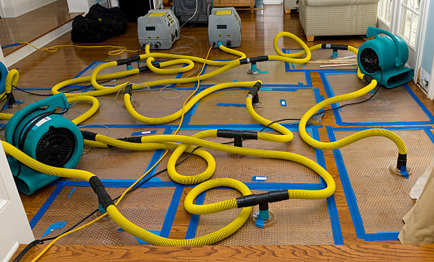 Professional Flood Damage Restoration technician working in West Springfield, MA
